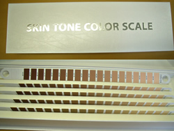 ȩ��Ƚ�ꥹ������ SKIN TONE COLOR SCALE �ʼ������ʡ�