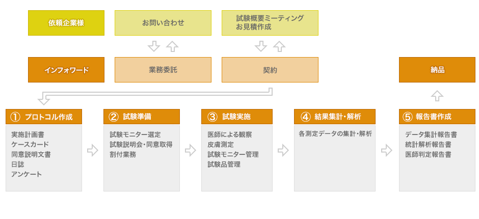 ヒト試験の流れ